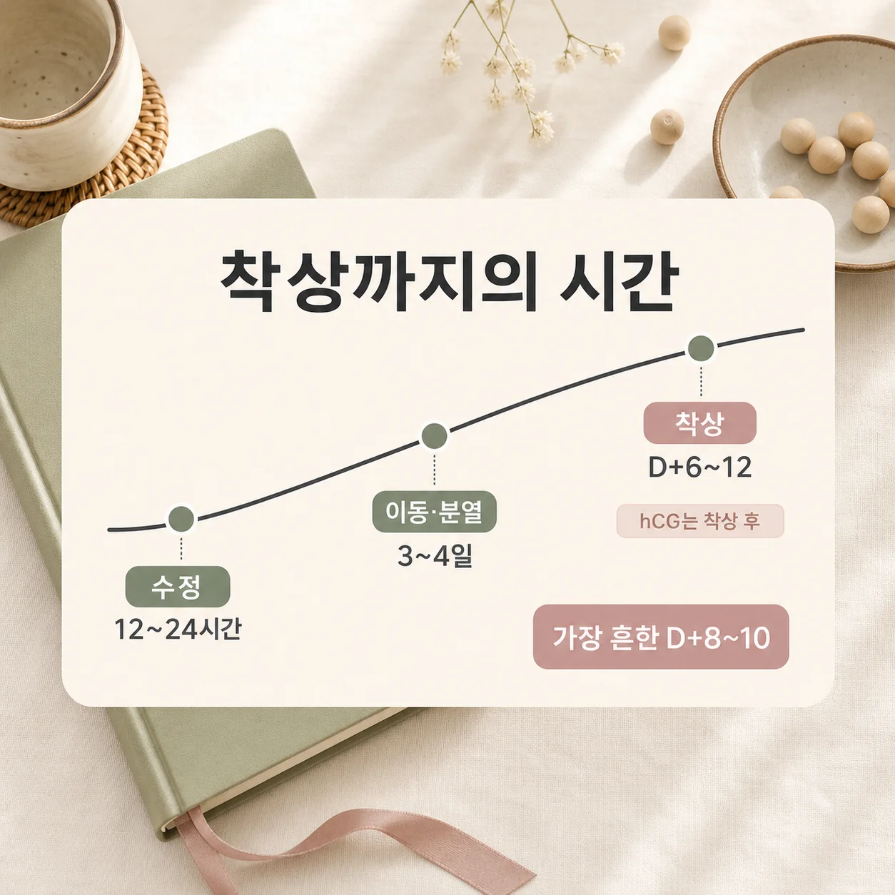 배란 후 6~12일 착상까지 이어지는 임신 극초기 진행 순서
