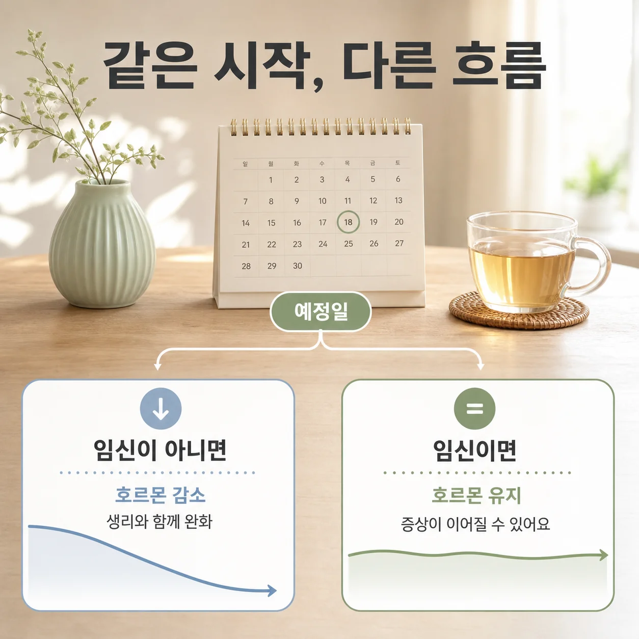 프로게스테론 변화에 따라 생리전증후군과 임신 극초기증상이 갈리는 흐름 정리