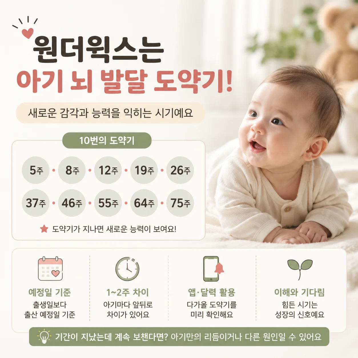 원더윅스와 아픈 신호를 구분하는 감별 체크 카드